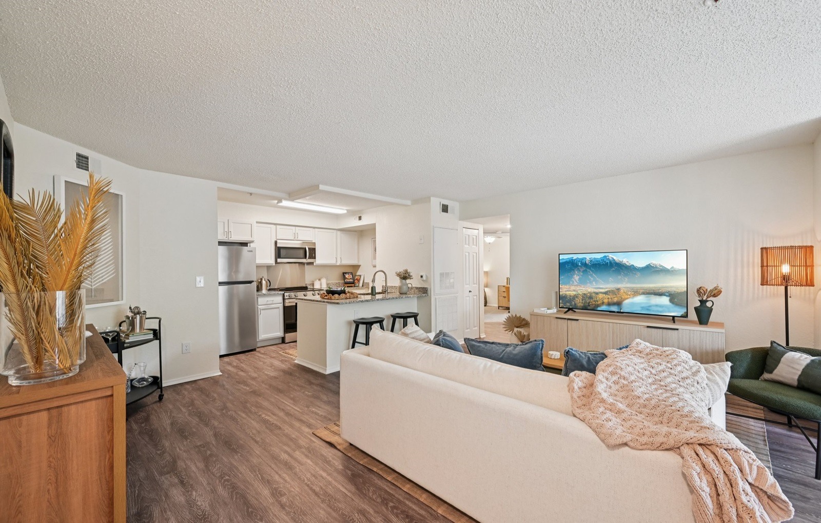 A living room with a couch and a television.