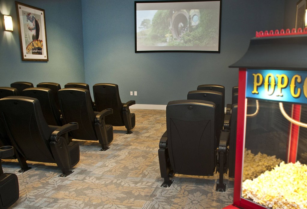 Movie Theatre at Belle at Bay Colony 55+ Apartments, Texas