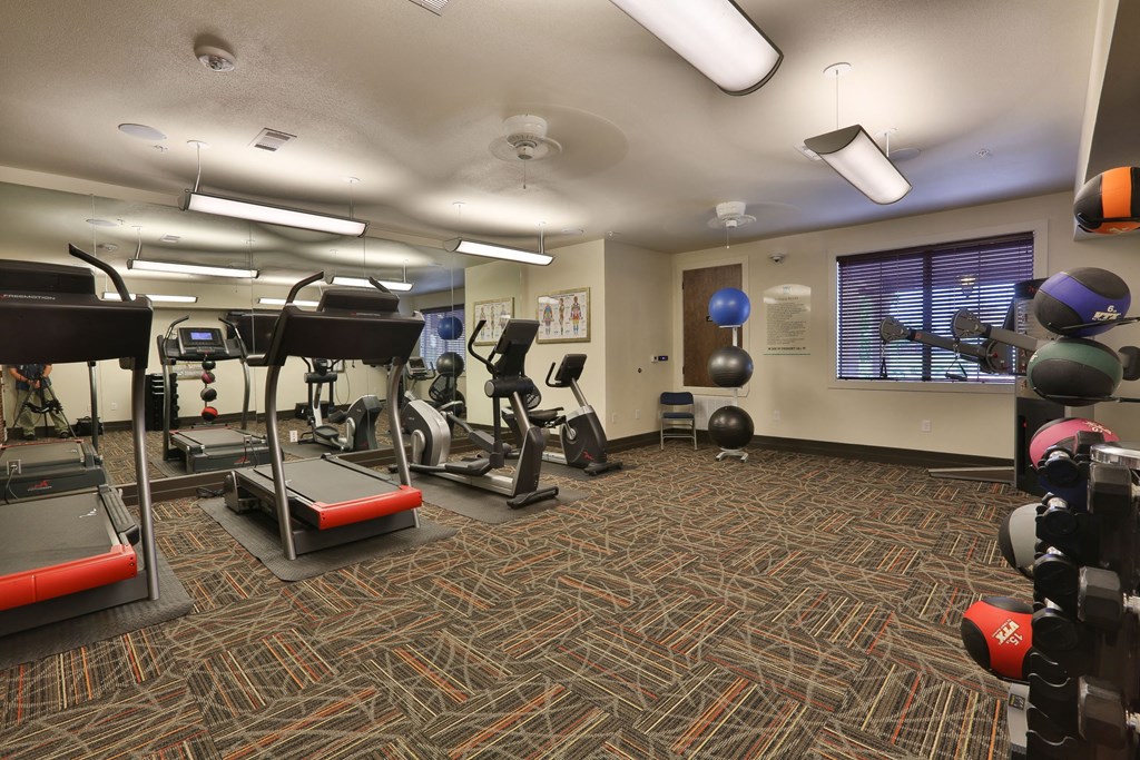 a gym with weights and cardio equipment in a room with a window at Cedars of Elk Drive 55+ Apartments, Texas