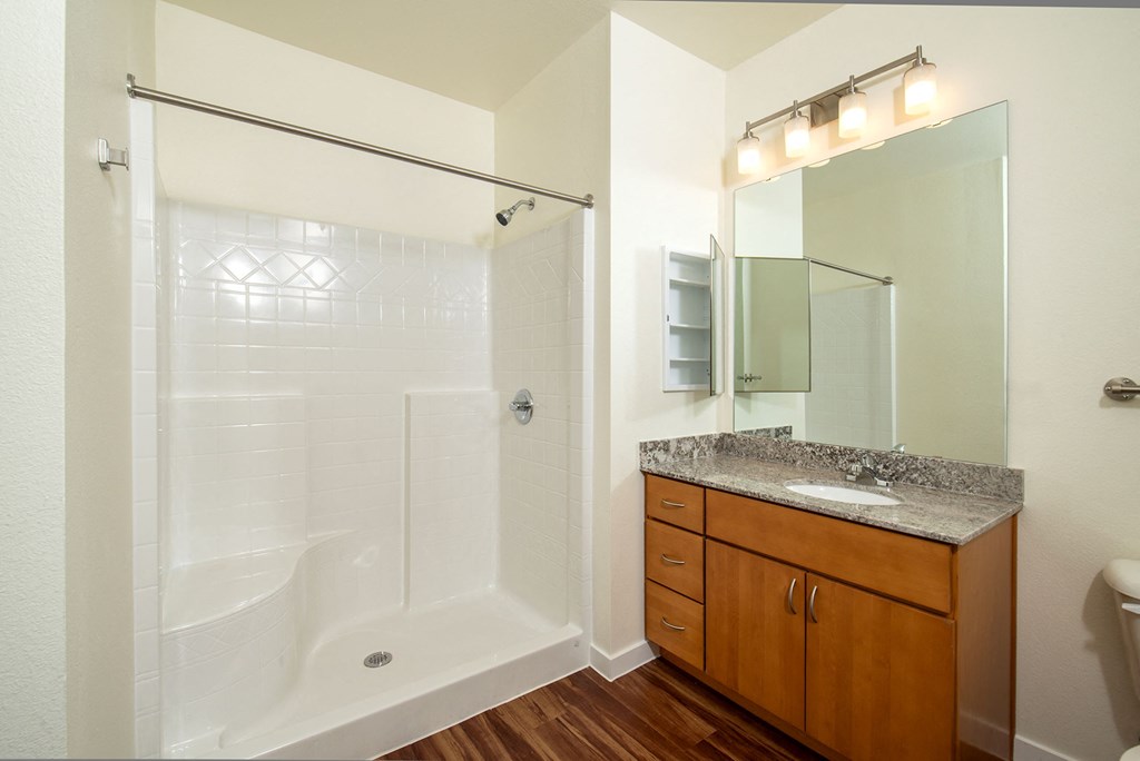 Luxurious Bathroom at Matlock Flats, Texas, 76001