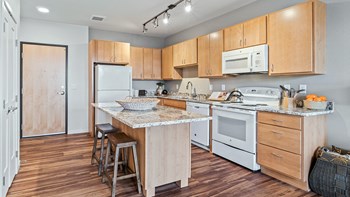 2725 Herschel Street, N., 1-3 Beds Apartment, Affordable for Rent - Photo Gallery 4