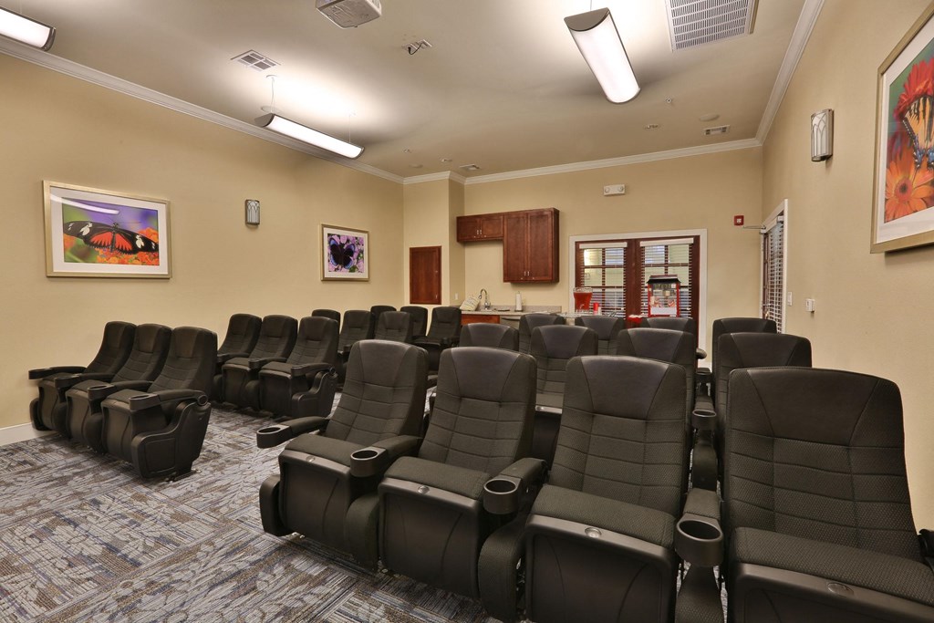 Theatre Room at Pacana Park 55+ Apartments, La Porte, 77571