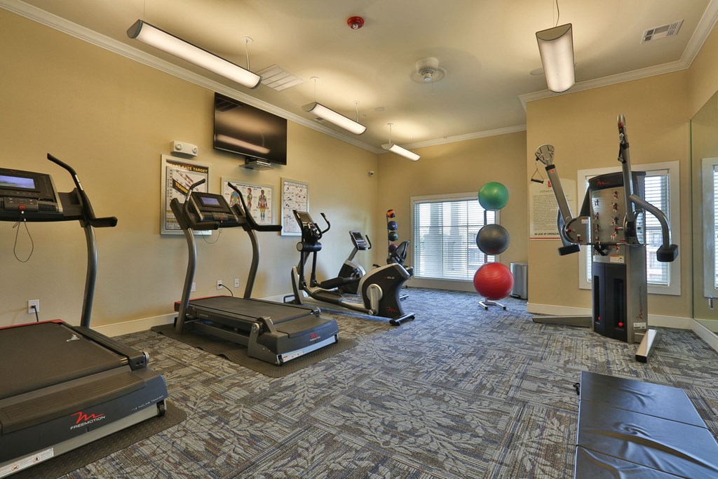 Gym at Pacana Park 55+ Apartments, Texas, 77571