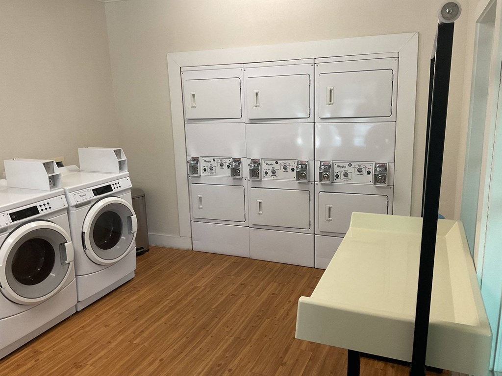Washer Dryer In Unit at Pacana Park 55+ Apartments, La Porte, TX