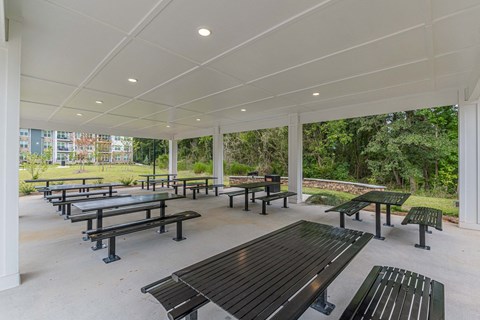 Picnic at The Promenade Apartments, McDonough, Georgia