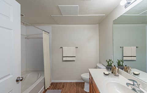 Bathroom With Bathtub at The Abberly at Spring Hollow 55+ Apartments, Saginaw, Texas