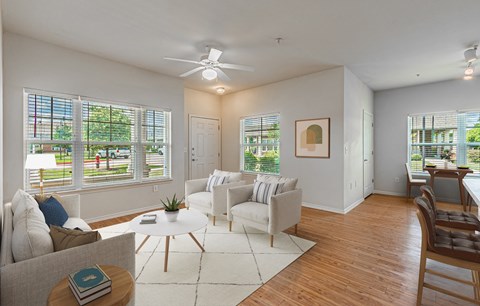 Living Room at The Abberly at Spring Hollow 55+ Apartments, Saginaw, TX