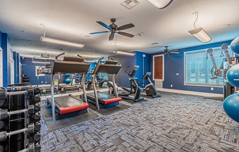 Fitness Center at The Abberly at Spring Hollow 55+ Apartments, Texas, 76131