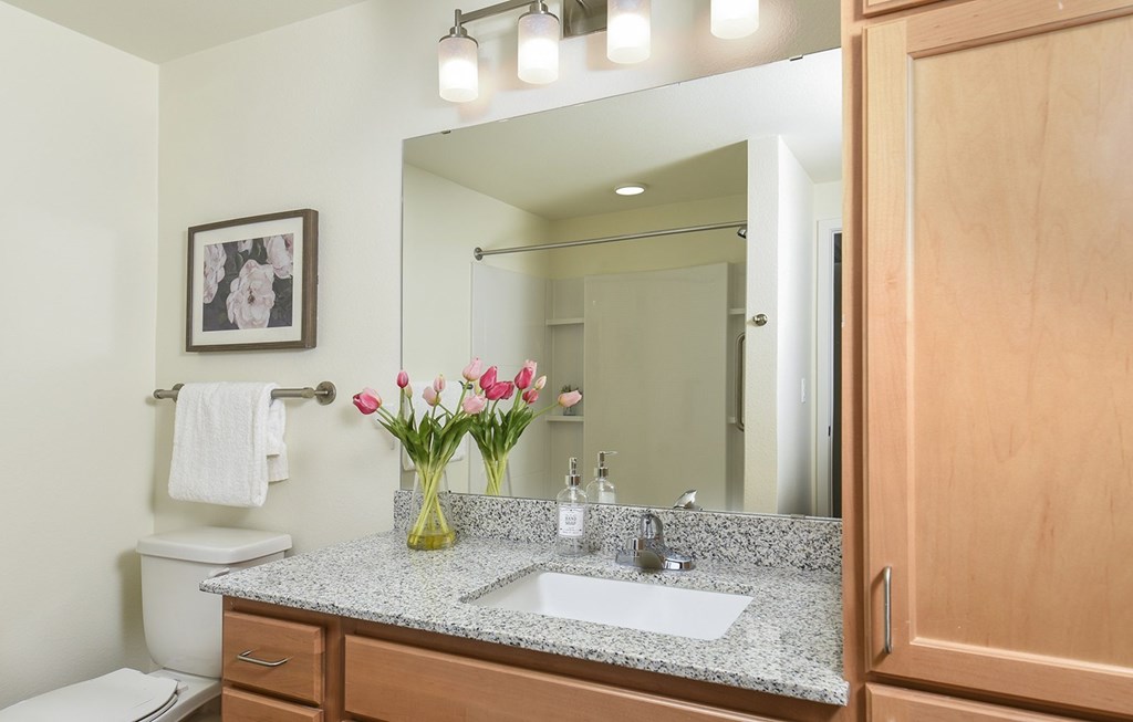 Dominium_Suncrest Vista_Bathroom 1.jpg