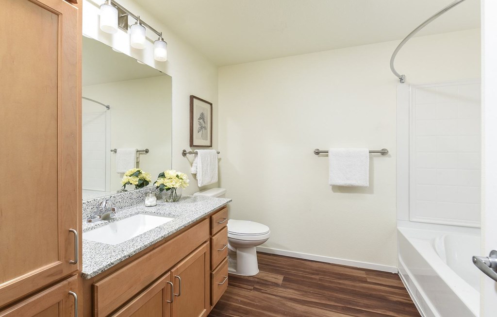 Dominium_Suncrest Vista_Bathroom 2.jpg