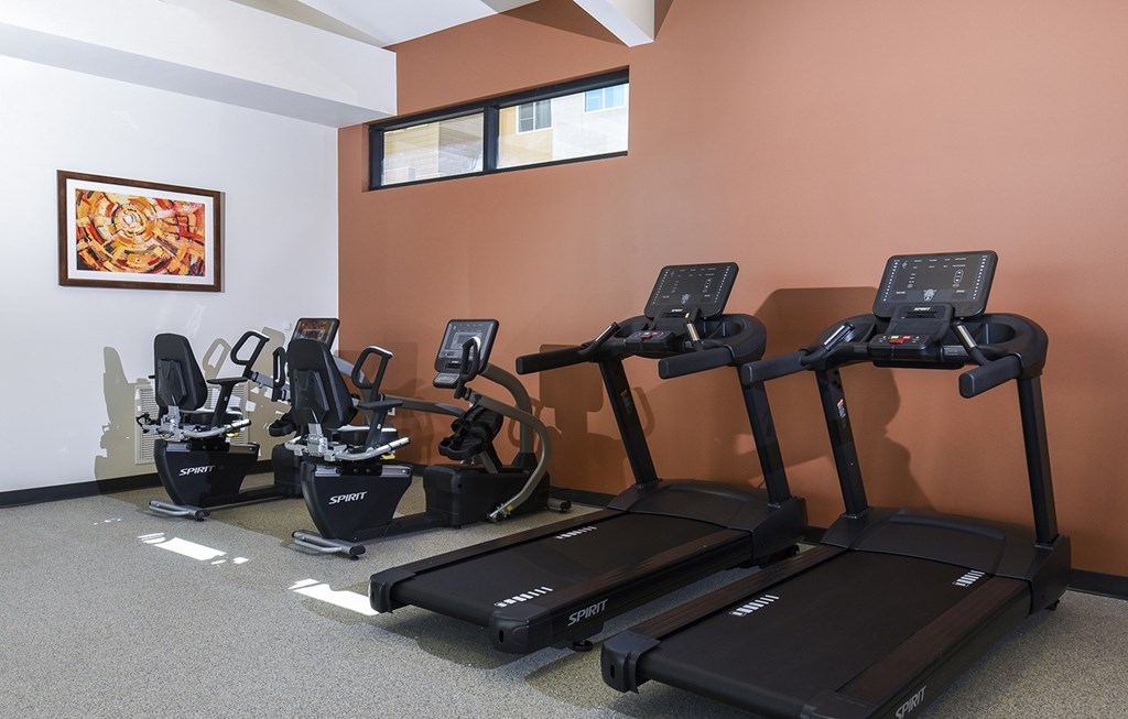 Dominium_Suncrest Vista_Fitness Center 3.jpg