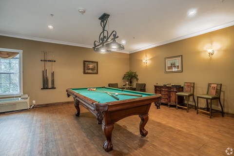 Dominium_Sweetwater-Terraces-55-Pool table