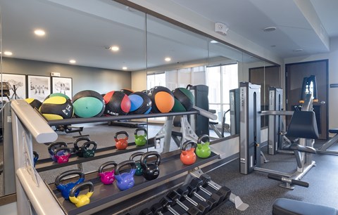 A gym with a variety of equipment including kettlebells, dumbbells, and weight plates.