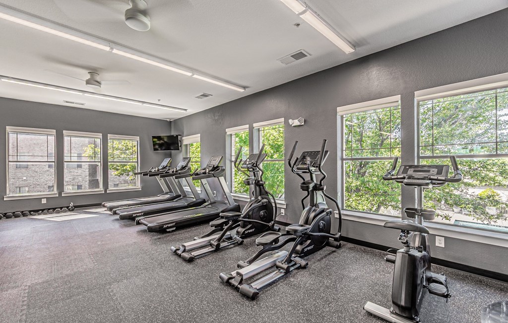 Dominium_The Cesera_Fitness Center 1.jpg