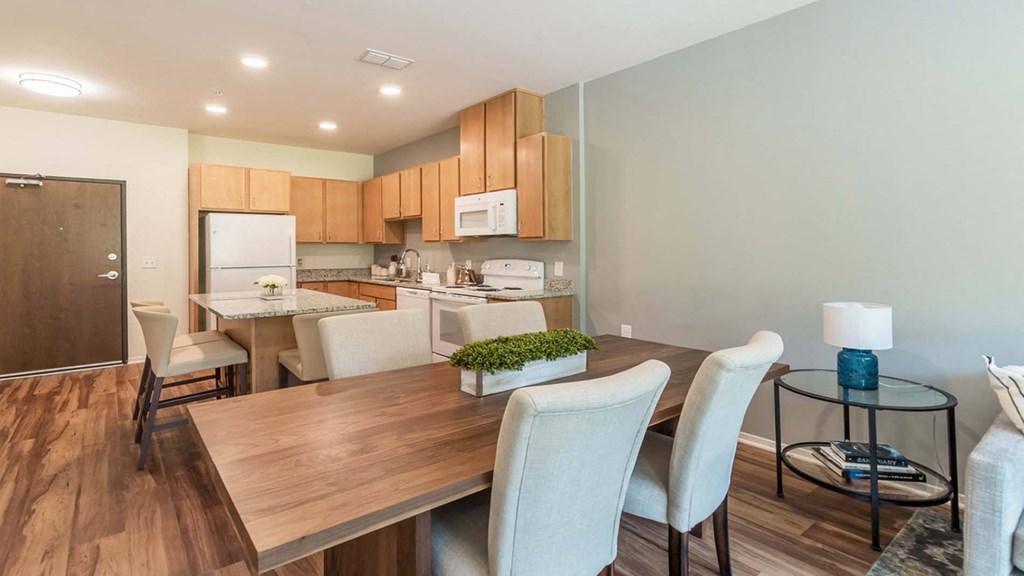 Dominium-TheSafford-Kitchen3