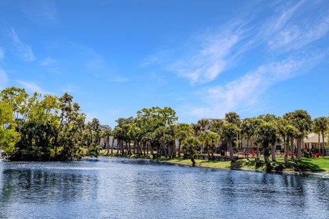 A serene lake surrounded by lush green trees under a clear blue sky.