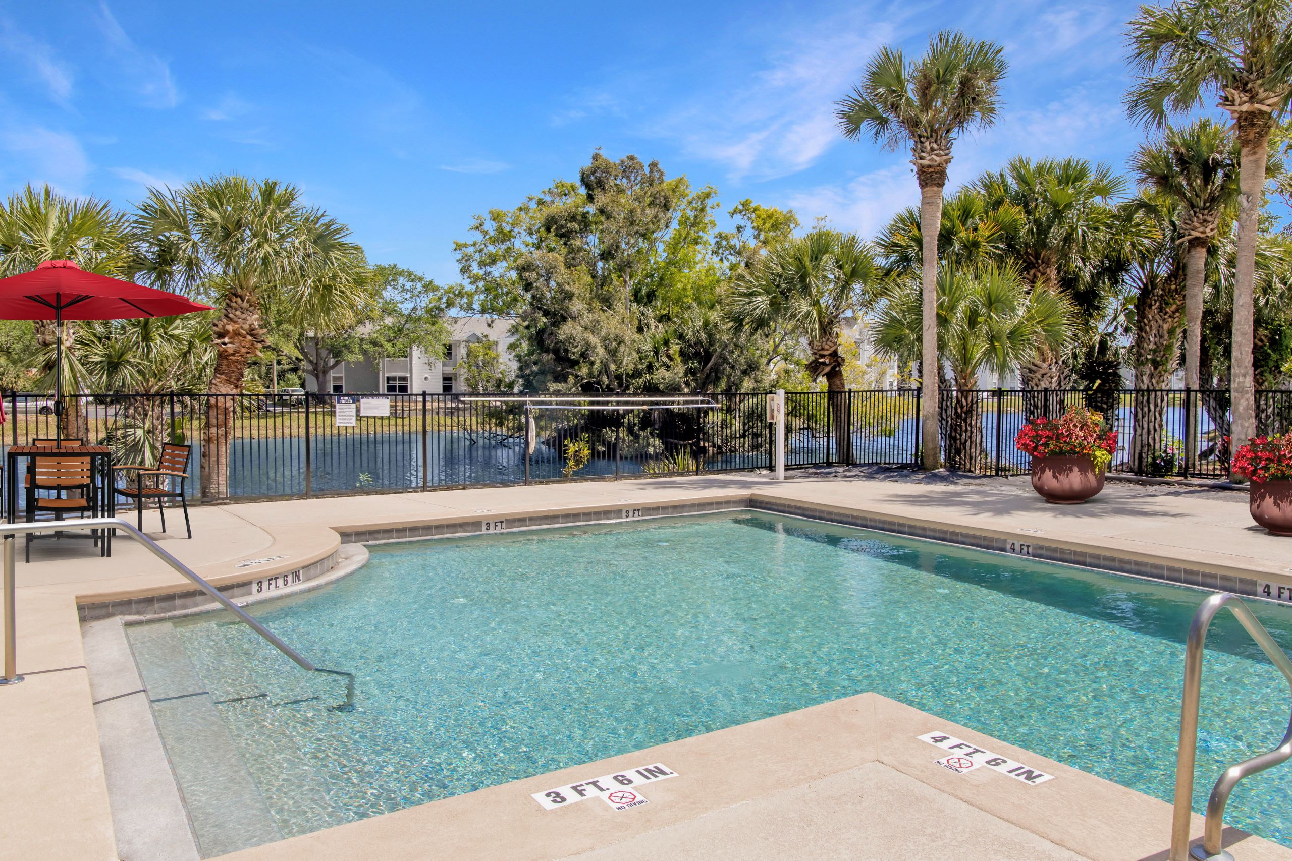 A pool surrounded by palm trees and a fence.