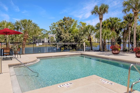 A pool surrounded by palm trees and a fence.