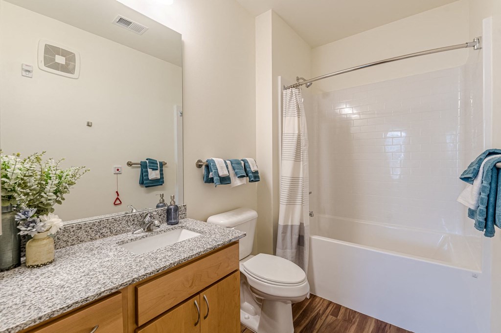 Bathroom at The Meridian Apartments, Decatur 30032