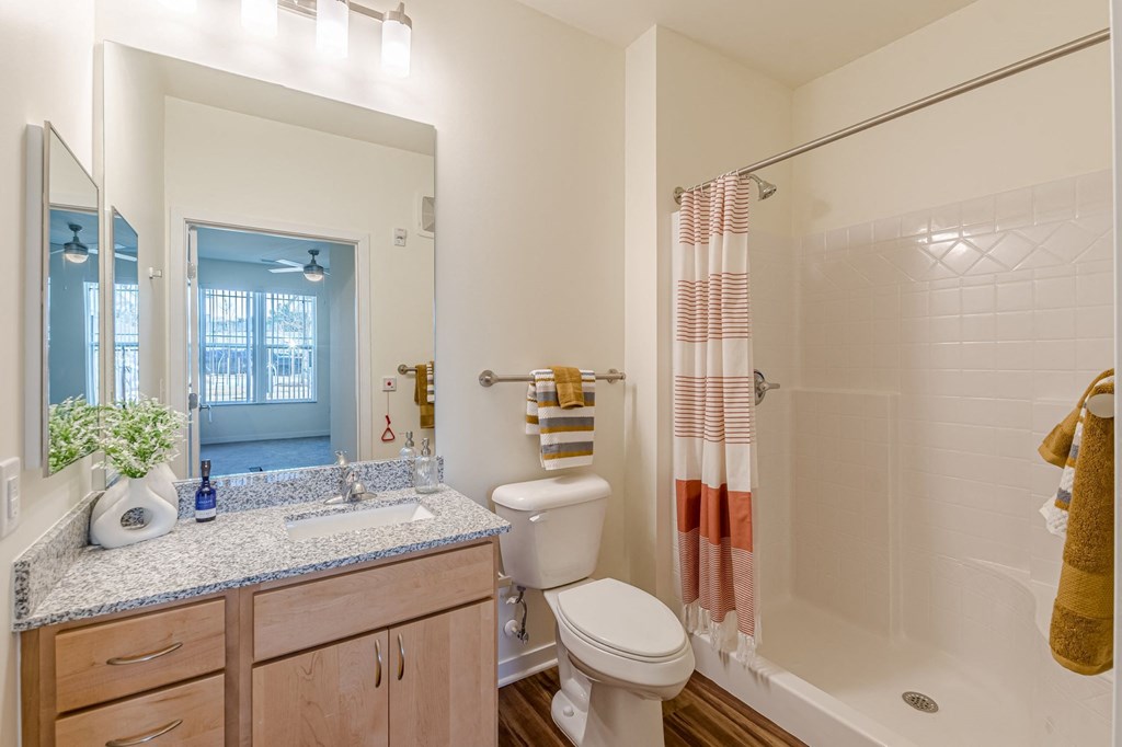 Toilet at The Meridian Apartments, Decatur, Georgia