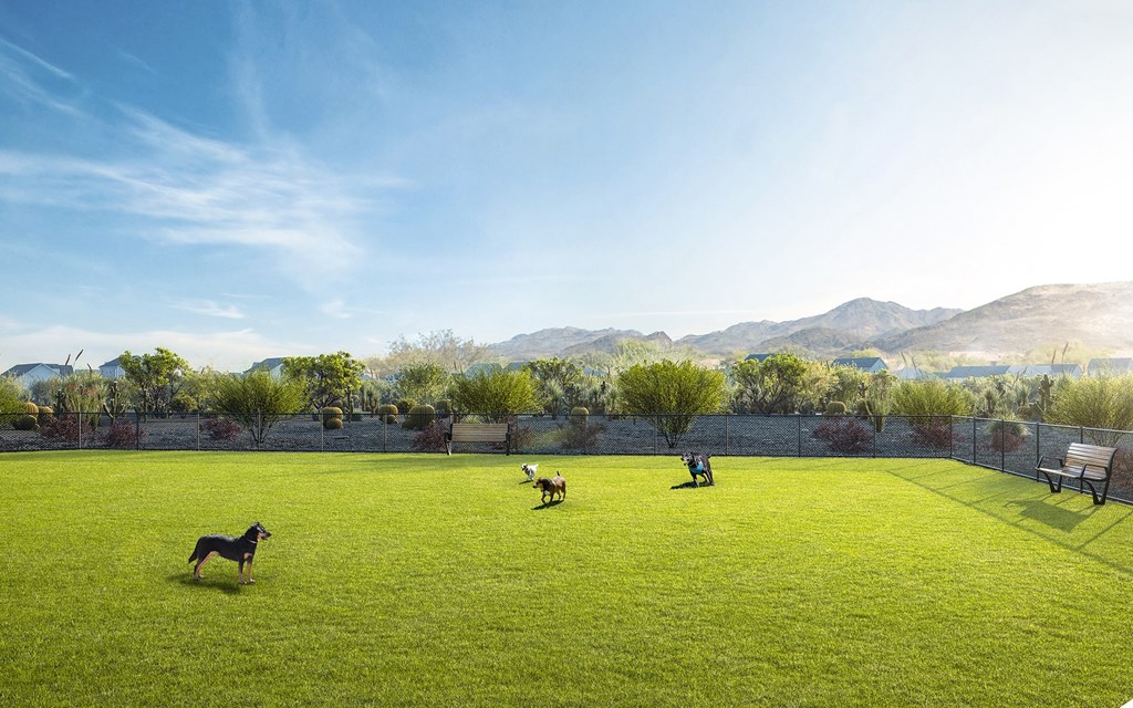 Dominium-TheSafford-DogPark