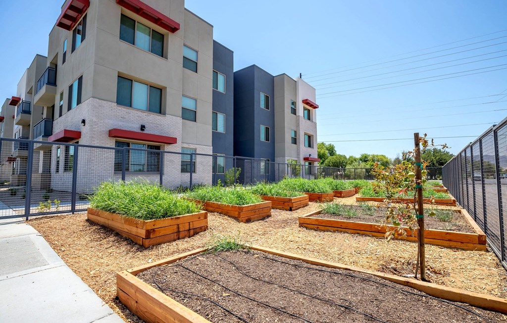 Dominium_Vista Ridge_Community Garden