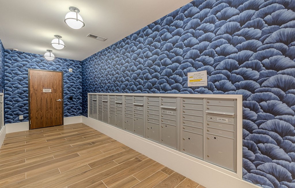 Mailroom at Willow Place 55+ Apartments, McDonough, Georgia