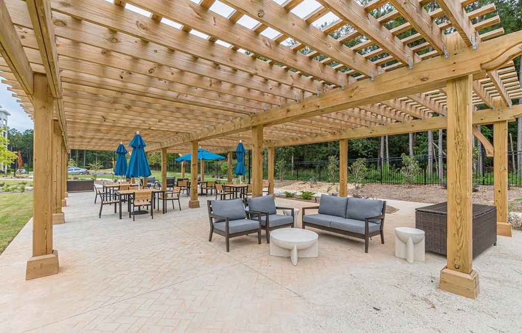 Outdoor Patio at Willow Place 55+ Apartments, Georgia