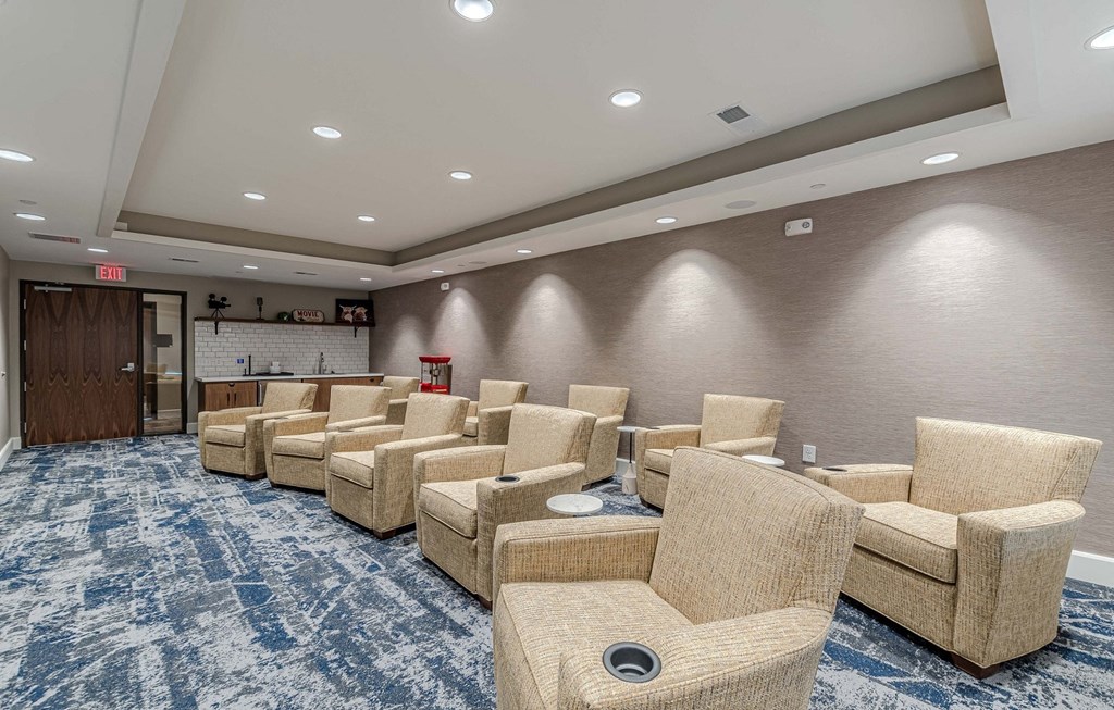 Theater at Willow Place 55+ Apartments, McDonough, 30253