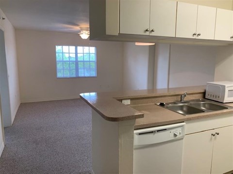 A kitchen with a sink, dishwasher, and microwave.
