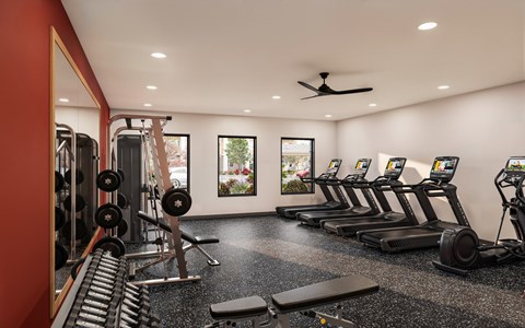 A gym with treadmills, weights, and a fan.