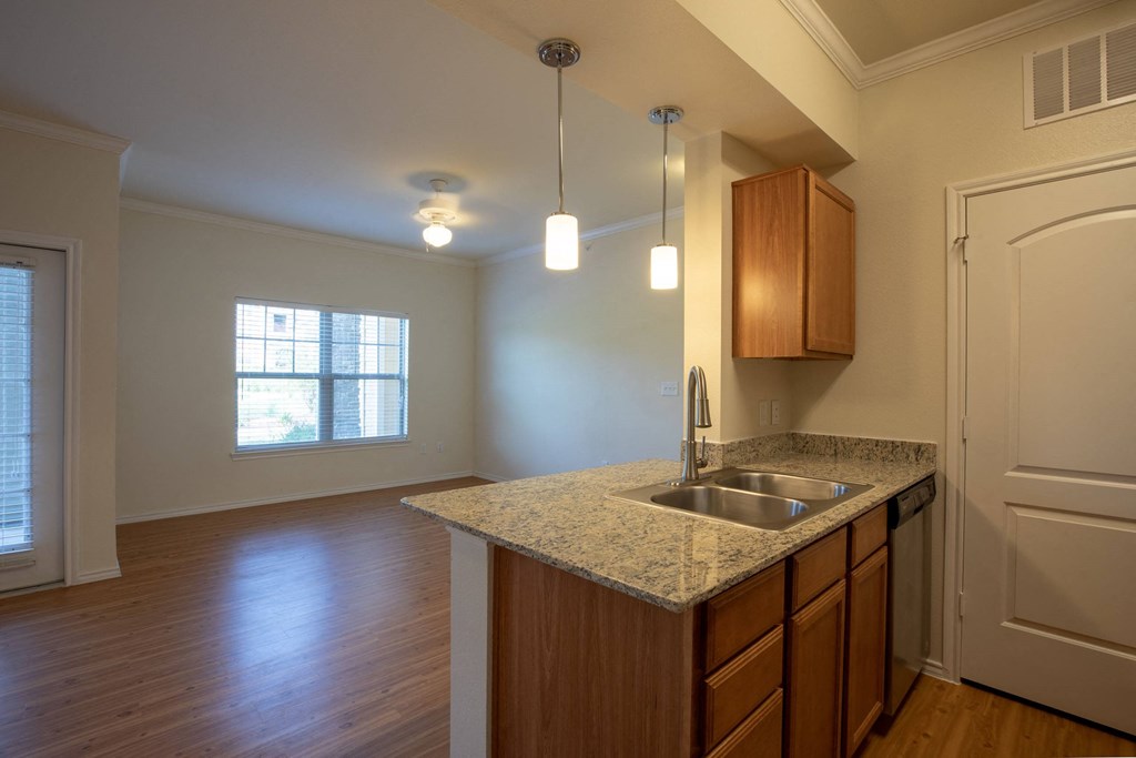 Sink With Faucet at The Royse at Parker Boulevard Apartments, Texas, 75189