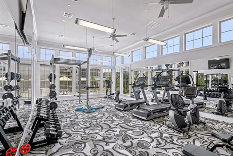 a gym with weights and cardio equipment and windows at Five 49 at River Oaks, Texas