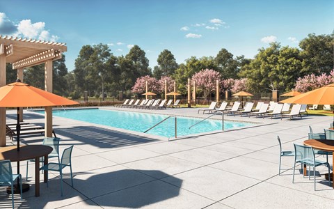 A pool area with chairs and umbrellas on a sunny day at Sage at Franklin Park Apartment , Texas