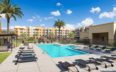A pool surrounded by sun loungers and palm trees.
