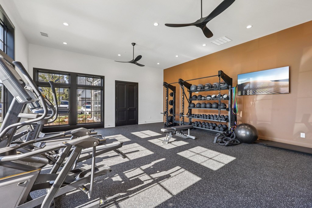 A spacious gym with treadmills, weights, and exercise balls.