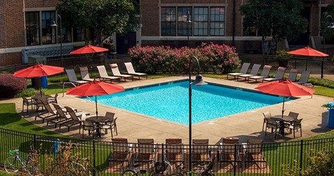 A pool surrounded by chairs and umbrellas.