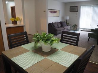 a dining room table with a potted plant on top of it