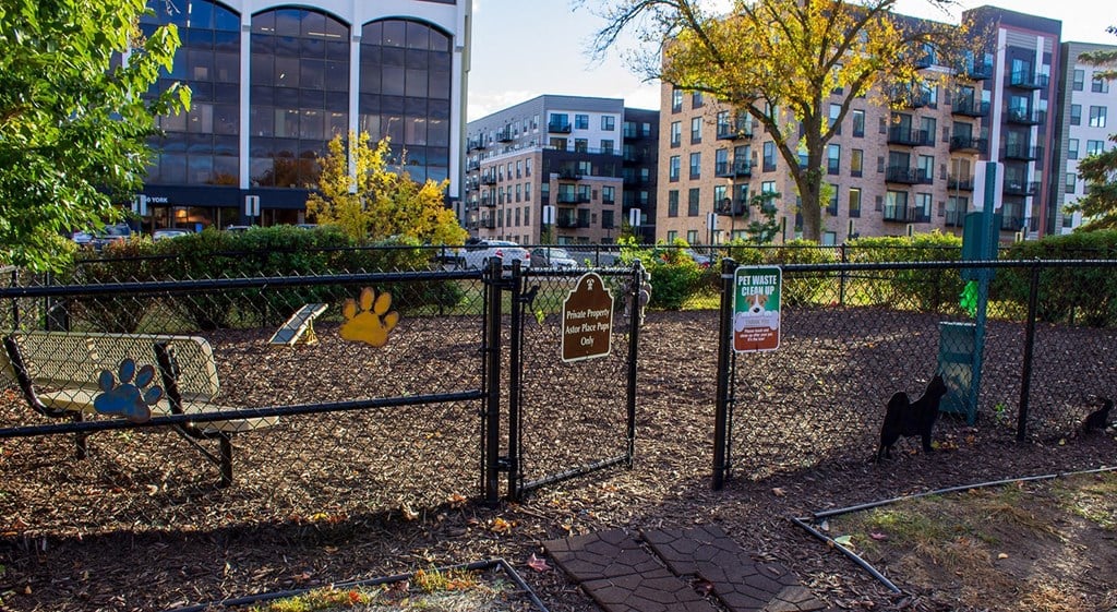 a dog park with benches and a fence