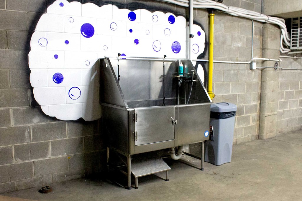astor place apartments dog wash station