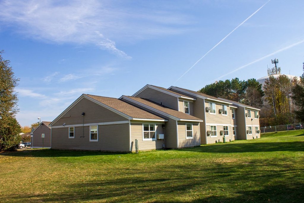 the back of the house has a large yard with grass