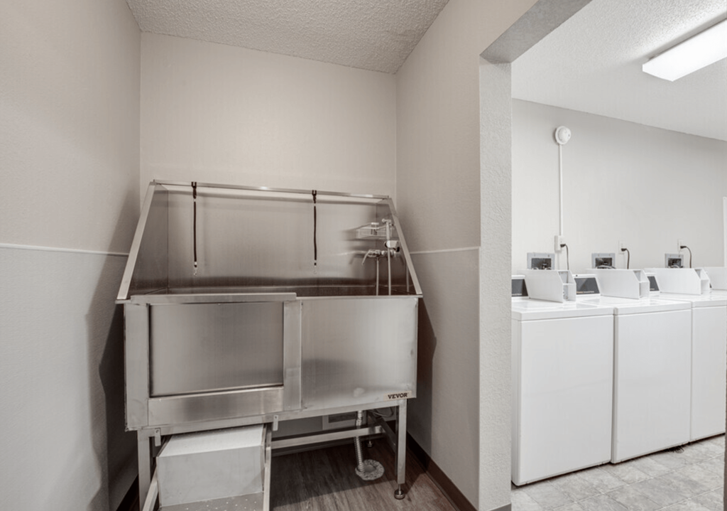 a stainless steel refrigerator in a kitchen with white appliances