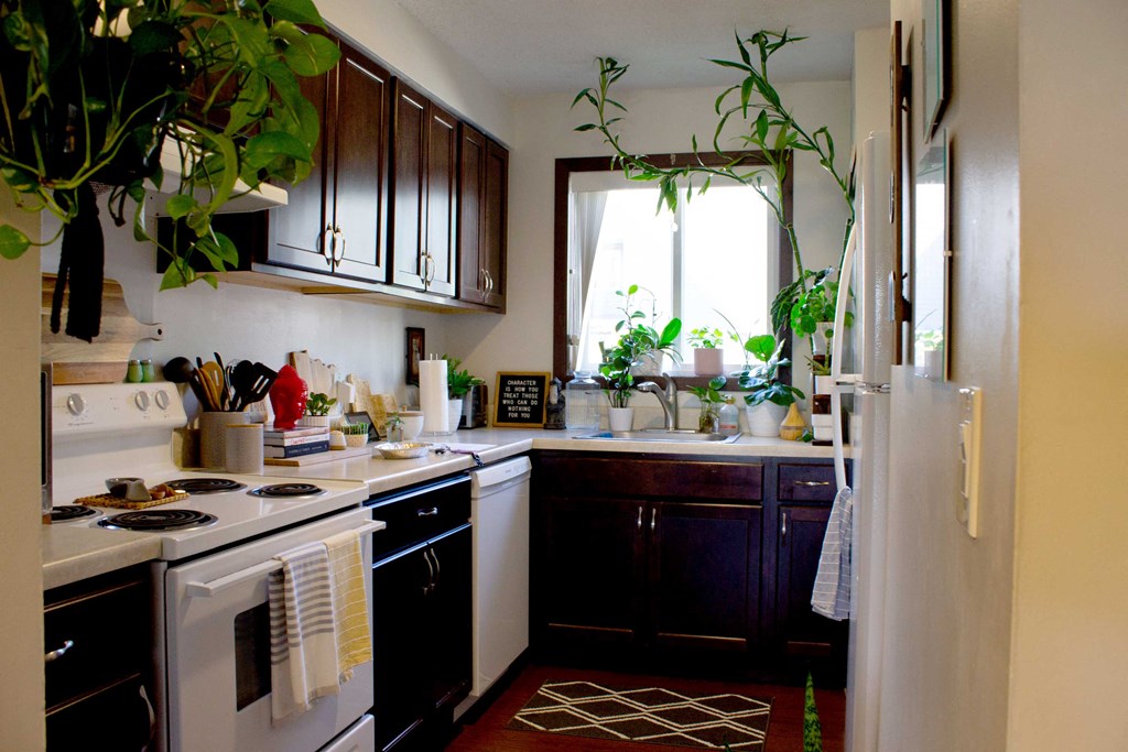 Park Acres Apartments kitchen