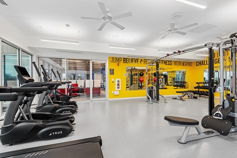 A gym with a variety of equipment including treadmills, weights, and exercise machines.