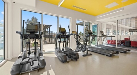 Flatz 602 interior fitness center, large window, workout machines, ceiling lighting