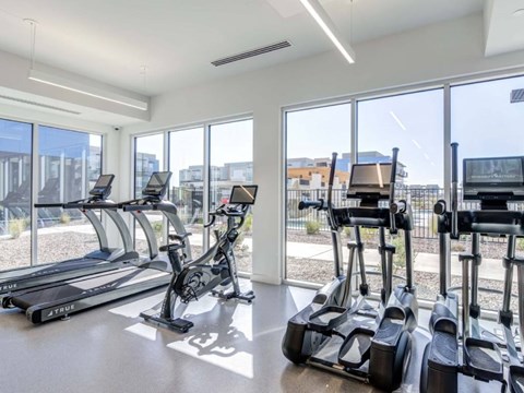 Flatz 520 interior fitness center, large windows, workout machine, ceiling leighting