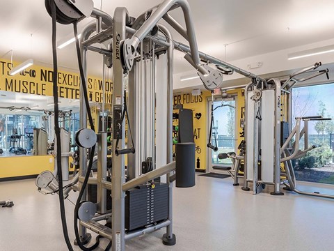 FLATZ 512 Gym