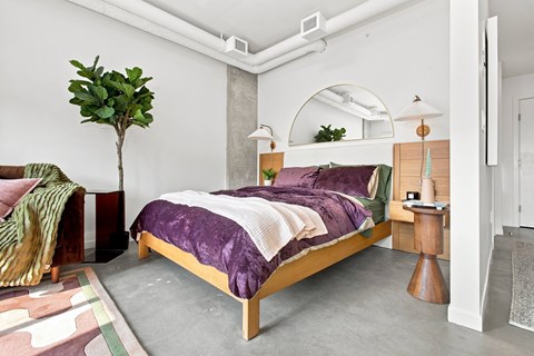 A bedroom with a bed in the center and a plant to the left.