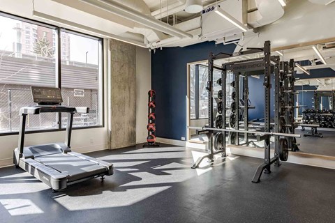 A gym with a treadmill, weights, and other equipment.