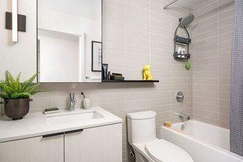 A white sink and toilet in a bathroom with a plant on the counter.